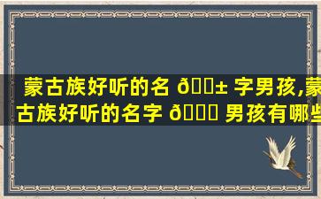 蒙古族好听的名 🐱 字男孩,蒙古族好听的名字 🐒 男孩有哪些